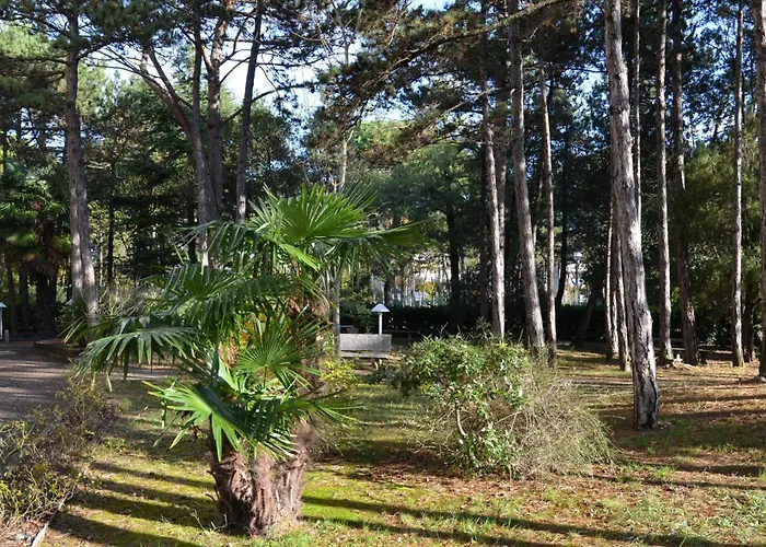 Alemagna Apartamento Bibione